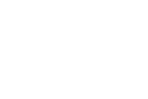 Logo BORG